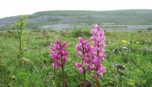 Burren Outdoor Education Centre