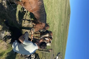From Doolin: Cliffs of Moher Guided Coastal Walk