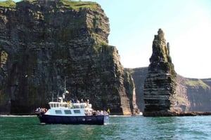 From Dublin: Cliffs of Moher, Bird of Prey & Aillwee Cave