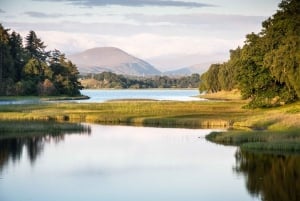 From Inverness: Cairngorms National Park and Whisky Tour