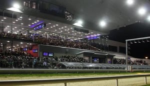 Limerick Greyhound Stadium