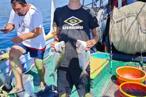 Biograd: Authentic Family friendly Fishing tour in Croatia.