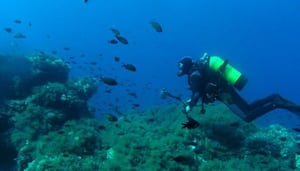 Diving Center Scuba Valdaliso