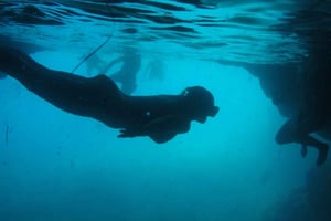 Dubrovnik: Sunj Beach Boat Tour juomineen: Blue Cave & Sunj Beach Boat Tour with Drinks