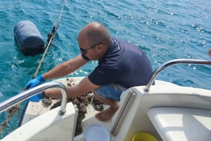 Dubrovnik: Oyster, Mussles, and Wine Tasting Tour in Ston