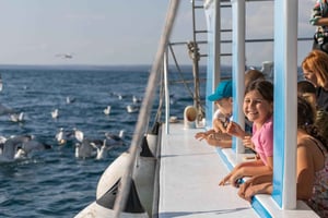 FAŽANA: PANORAMA DEL PARQUE NACIONAL DE BRIJUNI Y PARADA PARA BAÑARSE EN LA ISLA