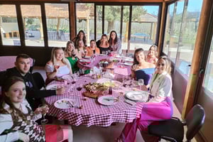 Z Dubrownika: półdniowa degustacja win i wycieczka po Cavtacie