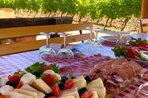 Из Дубровника: дегустация вина и экскурсия по городу Цавтат на полдня