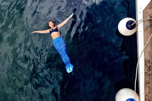 Depuis Opatija : nagez sur l'île de Cres comme une sirène