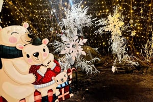 FRA TRIESTE: Julemarkedstur i Opatija med vin