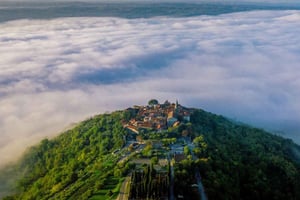 Da Vrsar-Poreč : Escursione a Montona e Grisignana