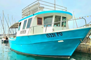 Safari in barca tra i delfini da Marina Funtana