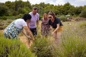 Hvar: Lavendelfelter, honning og smagning af lokale produkter