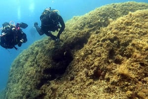 Hvar: Experimente o programa de mergulho/descubra o mergulho