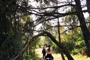 Istria: przejażdżka konna z przewodnikiem