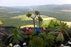 Истрия: экскурсия по Внутренней Истрии с дегустацией блюд