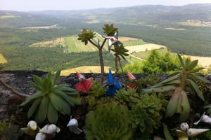 Istria: Guided Tour of Inner Istria with Food Tasting