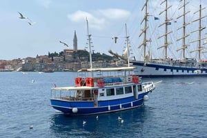 Izlet brodom iz Vrsara: Zalazak sunca i druženje s delfinima