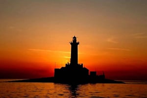 3hours Dolphin Sunset watching with unlimited drinks +dinner