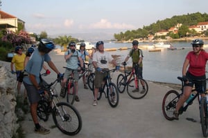 Остров Корчула: экскурсия на горном электровелосипеде с гидом и обедом