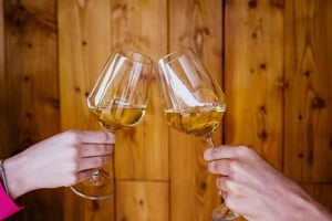 Дегустация вин Пелешаца и посещение местной винодельни