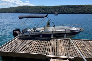 Privata båtturer i Porec: delfinvisning, panorama