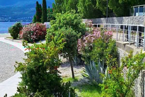 Rijeka Kroatia: Oppdag det fantastiske havet i Kroatia sammen med oss!