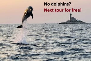 Rovinj: Delfinbeobachtung bei Sonnenuntergang Speedboat Tour mit Getränken