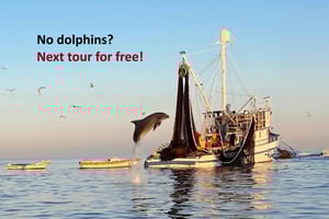 Rovinj: Sonnenaufgang Delfine & Fischer bei der Arbeit Speedboat Tour