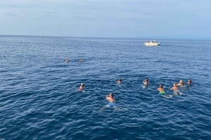 Savudrija: tour privado en barco para ver delfines al atardecer