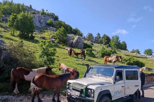 Skywalk (1228 m) og St. George (1762 m.) ØKO-TUR