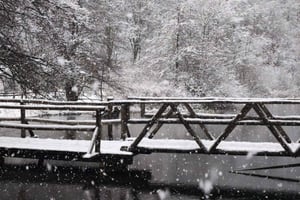 Split: Private Tour zu den Plitvicer Seen mit unbegrenzter Freizeit