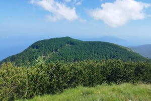 Tour privado de senderismo o running por el parque natural de Učka