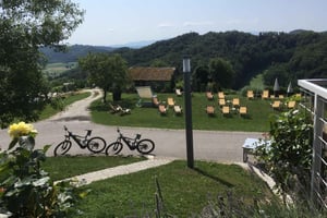 Vuglec Breg : excursion à vélo électrique vers les châteaux avec dégustation de vin