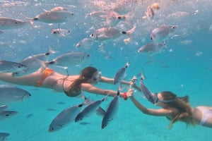 Задар: незабываемая водная прогулка к островам