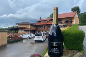 Zagreb: Dagsutflykt med vinprovning i Hrastje Plešivičko