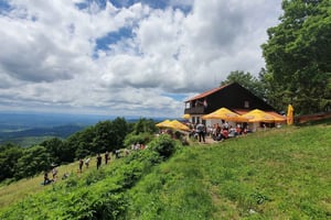 Zagrzeb: wędrówka na Japetić i degustacja win w Plešivicy