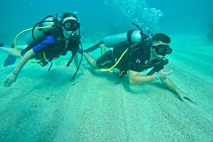 Bávaro: Experiencia de buceo para principiantes