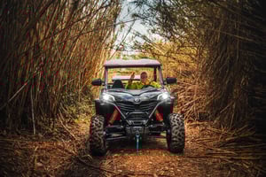 Benidorm: Tour en buggy al cauce del río o a las cascadas del Algar