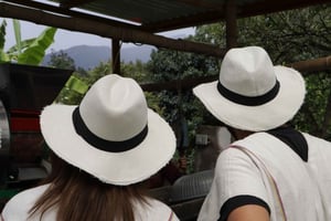 Bogotá: Guided Half-Day Coffee Farm Tour