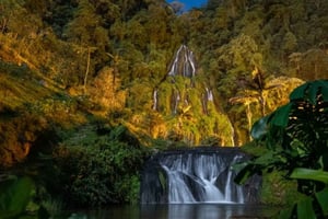 Cali: Pasadia Termales de Santa Rosa de Cabal | Saliendo desde Cali