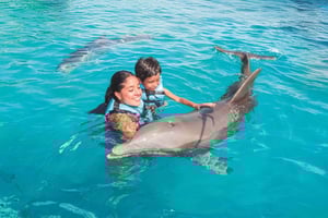 Cancun: Dolphin Connection & Isla Mujeres Beach Club Buffet