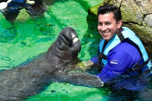 Cancún: nada con manatíes en Isla Mujeres y almuerzo buffet