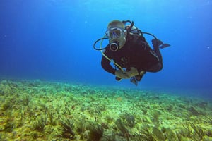 Cancún: Buceo para buzos certificados, 3 opciones para bucear