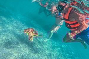 Cancun: Tulum Ruins, Akumal Turtles, Cenote & Caves Tour