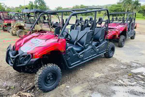 Carabalí Rainforest Park: UTV Adventure Tour