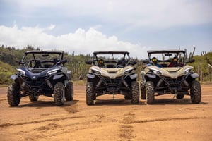 Curacao: Offroad UTV/BUGGY Adventure