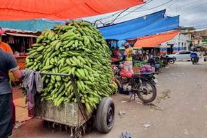 From Puerto Plata Priv: Cocoa, Coffee, Cigars & Local Market