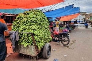 Desde Puerto Plata Priv: Cacao, Café, Puros y Mercado Local