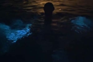 Desde San Juan: Excursión Bio Bay Magic & Cata de Ron